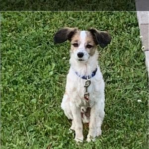 Meet your Posher, Linda